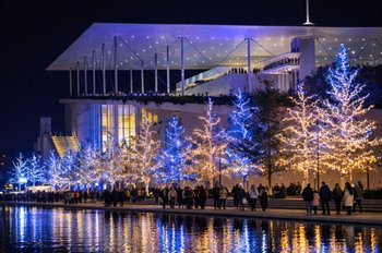 Magical Illuminations in Athens: Stavros Niarchos Park and the Most Interesting Holiday Attractions