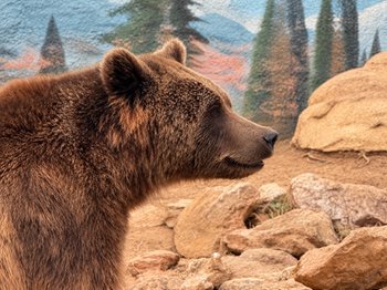 How Much Does the Athens Zoo Cost? Ticket Prices & Visitor Guide