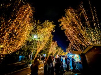 What to Do in Athens During Christmas and New Year 2025/2026